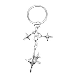 Meefisher Cute Star Keychain Aesthetic Accessories Stainless Steel Key Ring Purse Handbag…