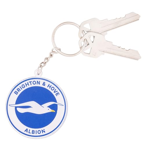 Desert Cactus Brighton & Hove Albion FC Keychain LBHAFC Seagulls Club Soccer… - Image 5