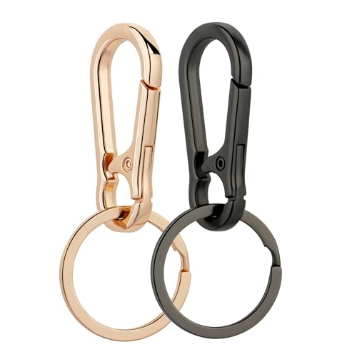 Wikavanli Metal Keychains Keyring Key Chain Ring Clip Holder Organizer for Home…
