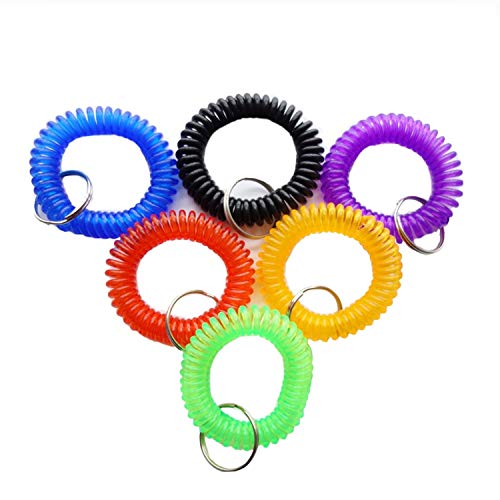 HAMIYELL Pack of 6 Colorful Spring Spiral Wrist Coil Key Chain, Wristband…