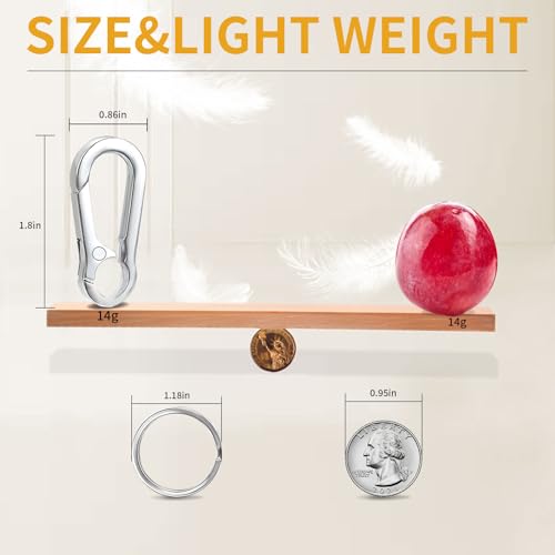 WIVBRNK 4 Pack Keychain, Metal Key Chain, Sturdy Key Ring, Key Rings… - Image 4