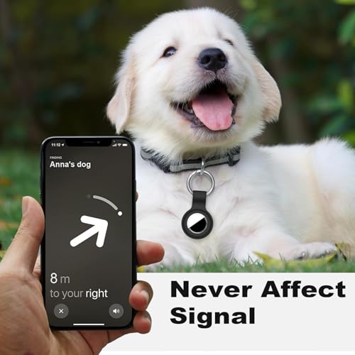 Linsaner 2 - Image 3