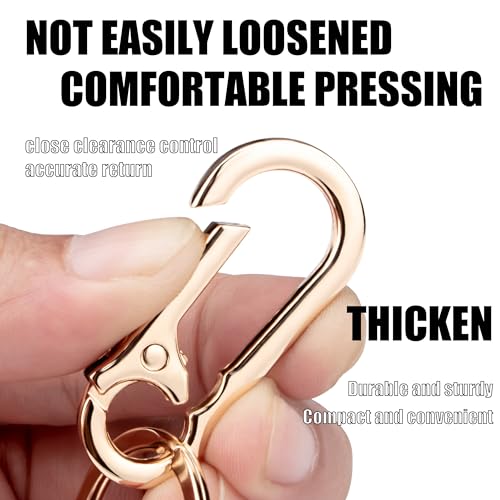Wikavanli Metal Keychains Keyring Key Chain Ring Clip Holder Organizer for Home… - Image 2