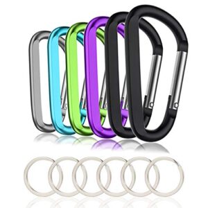 CampTek 6PCS Carabiner Caribeaner Clip,3" Large Aluminum D Ring Shape Carabeaner Keychain…
