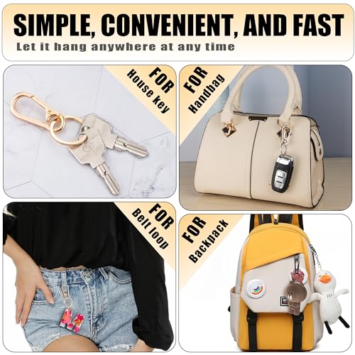 Wikavanli Metal Keychains Keyring Key Chain Ring Clip Holder Organizer for Home… - Image 5