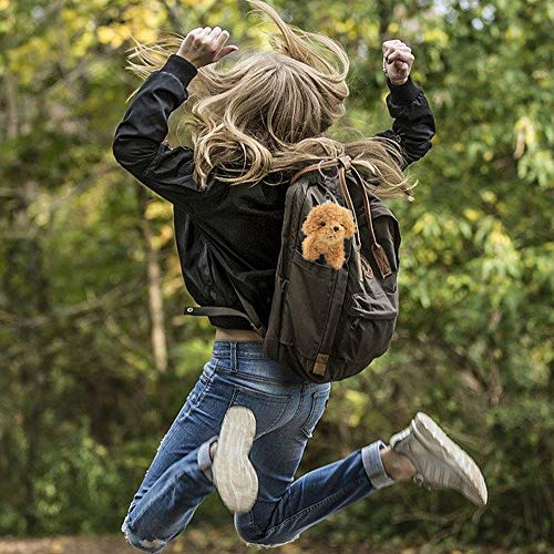 Cute Stuffed Animal Dog Plush Animal Keychain, Fashion Accessory Backpack Clips, Kindergarten… - Image 6