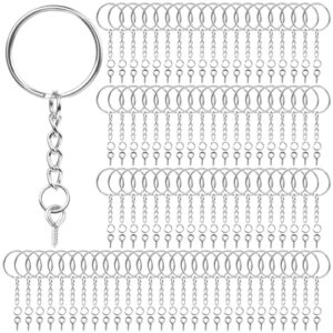 Keychain Rings for Crafts, Flasoo 360Pcs Keychains for Resin Include Key Rings…