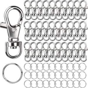 LEOBRO 60PCS Metal Swivel Snap Hooks and Key Rings, 30PCS Small Lobster…