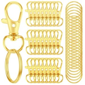 50PCS Metal Lobster Claw Clasp with Key Ring, 25PCS Keychains Clips Hooks…