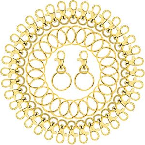 Gold Keychain Rings for Craft, Paxcoo 100pcs Keychain Hardware Kit Includes 50Pcs…